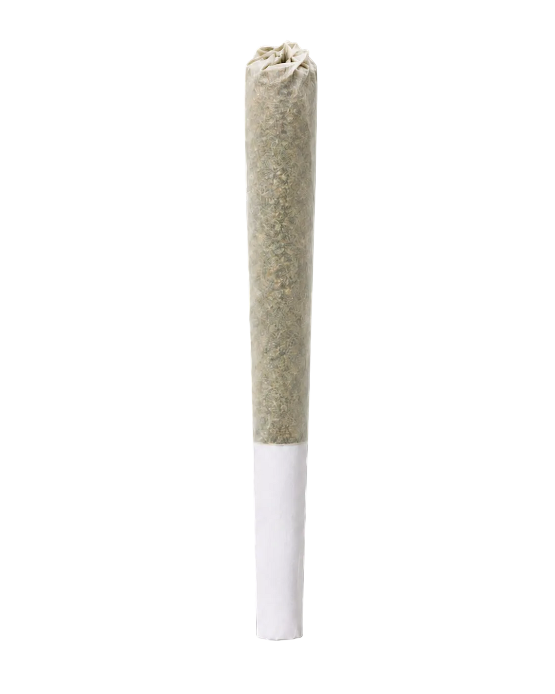 One Hit Wonder